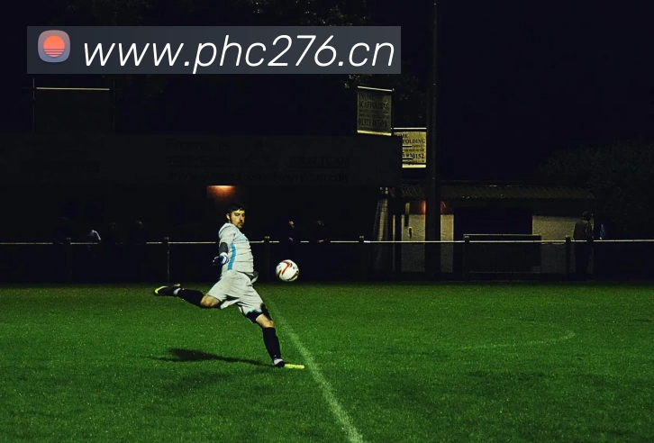 星空入口网址发展历程